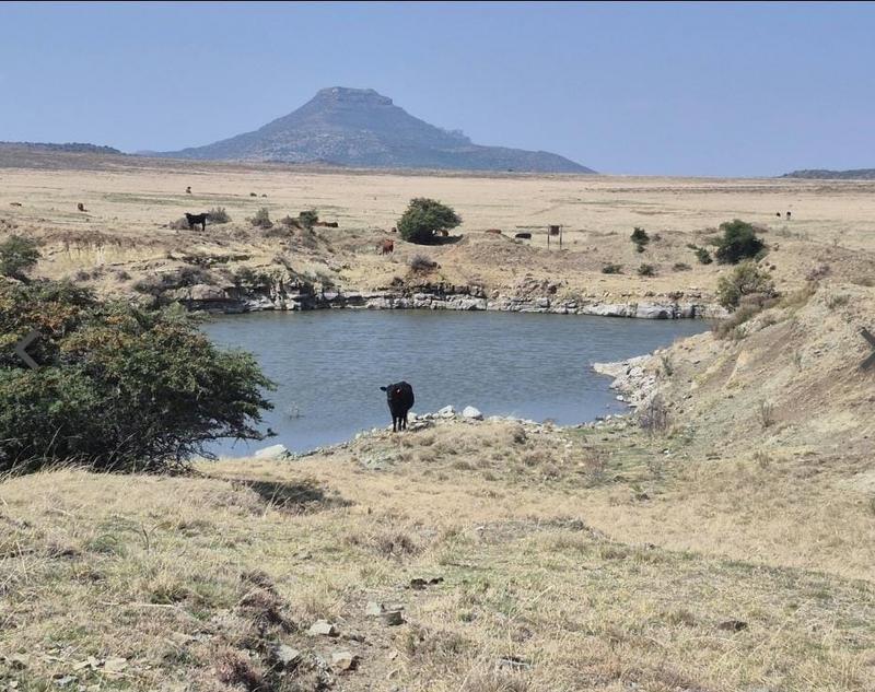 17 Bedroom Property for Sale in Ladybrand Free State